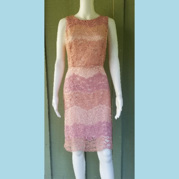 Tahari Dresses & Skirts - TAHARI Pink Ombre Striped Lace Sheath Dress 4